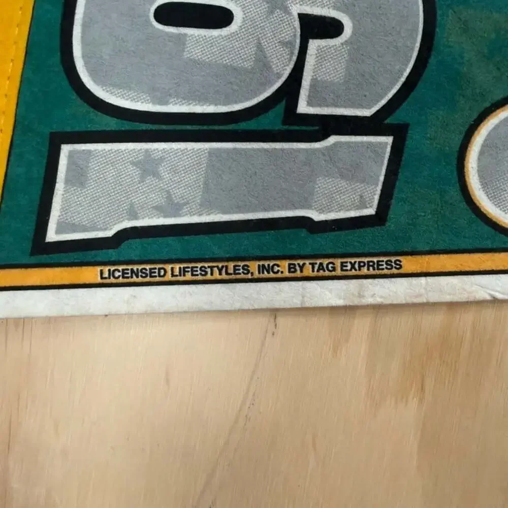 Green Bay Packers 1997 NFC Central Champions Pennant NFL Football w/Original Tag